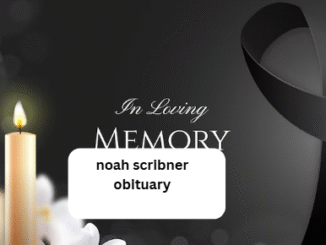 noah scribner obituary