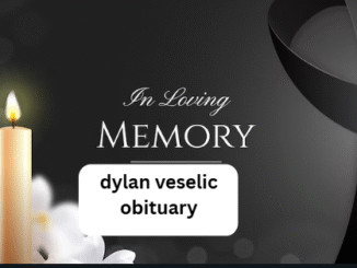 dylan veselic obituary